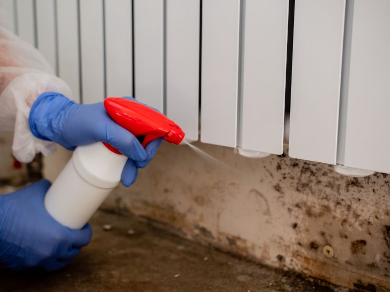 Attic Mold Remediation in Fort Worth, TX