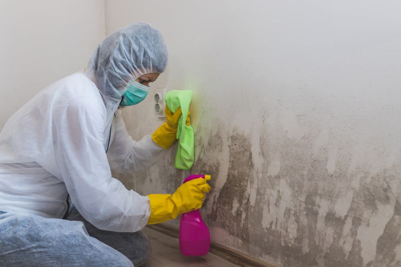 Attic Mold Removal in West Palm Beach, FL