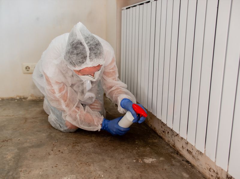 Basement Mold Remediation in Boca Raton, FL