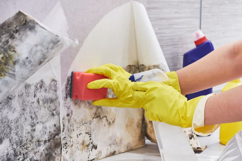 Basement Mold Removal in Broward County, FL