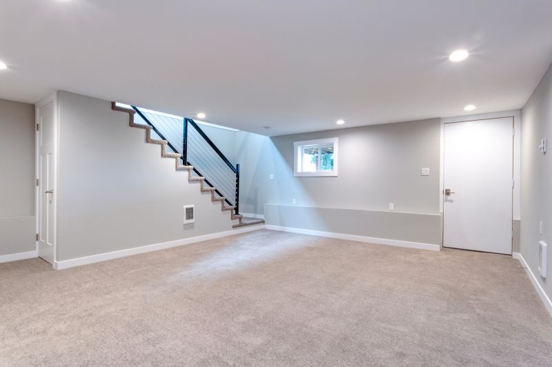 Basement Vacuuming in Frisco, TX