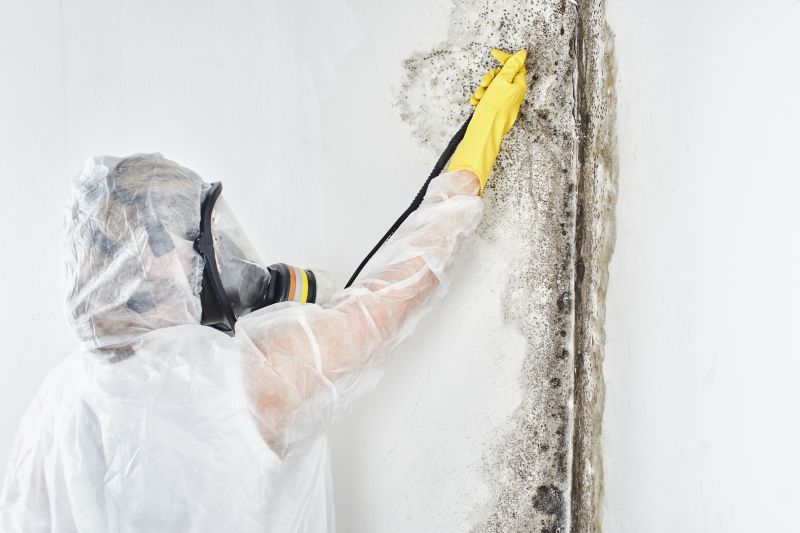 Black Mold Removal in Essex County, NJ