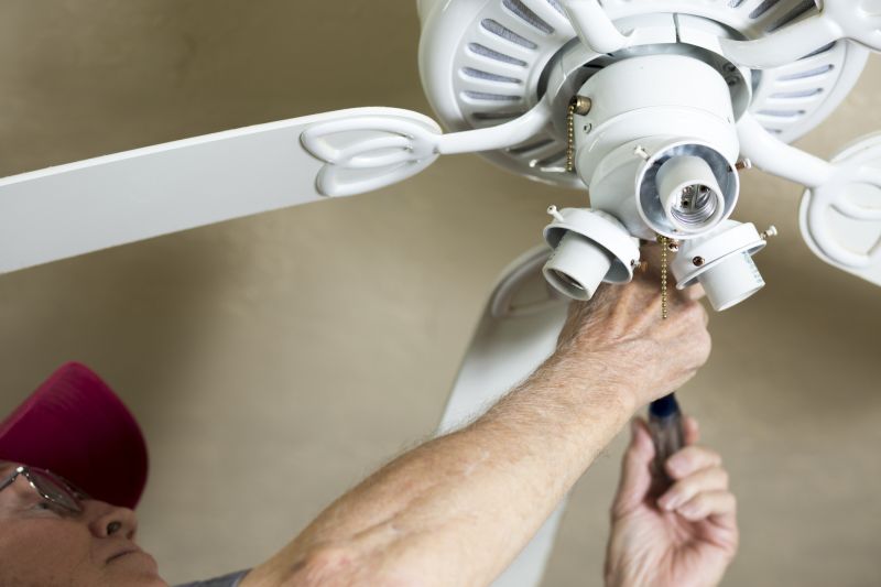 Ceiling Fan Cleaning