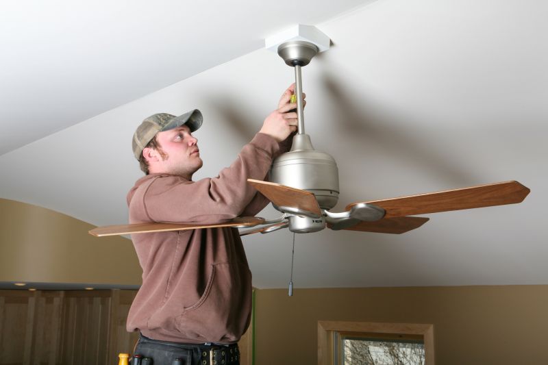 Ceiling Fan Cleaning