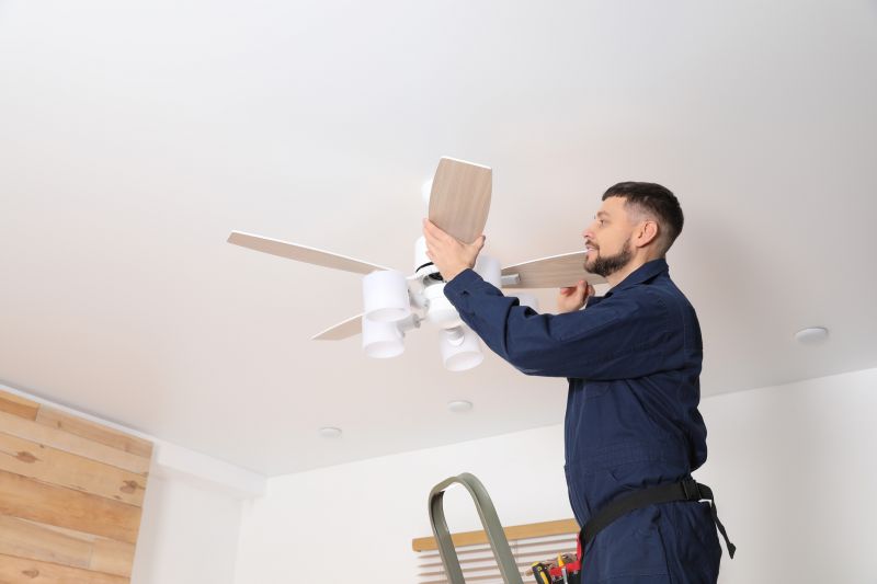 Ceiling Fan Cleaning
