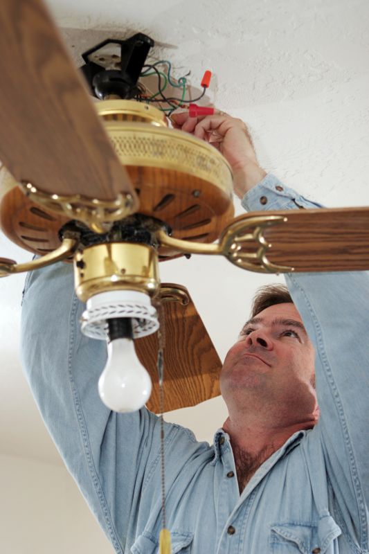 Ceiling Fan Cleaning