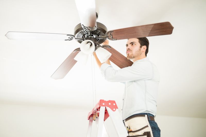 Ceiling Fan Cleaning