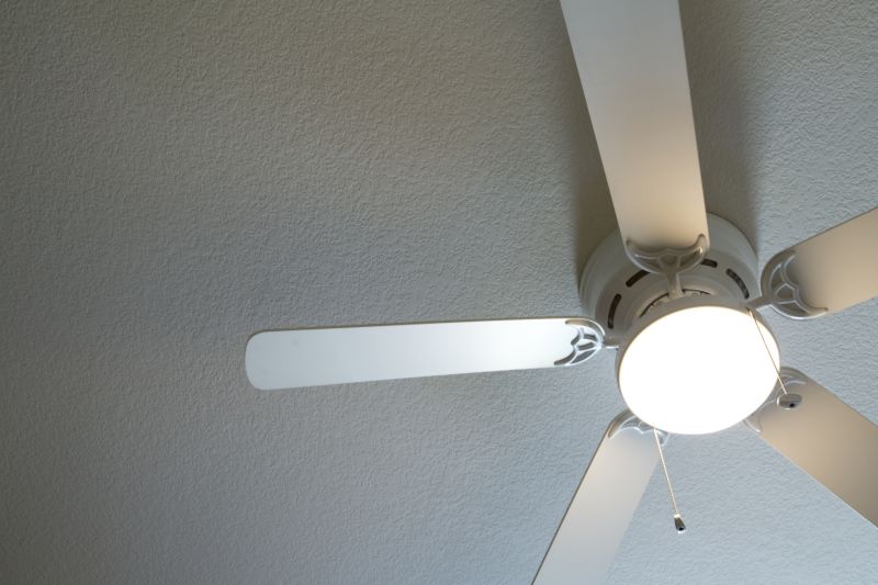 Ceiling Fan Blade Cleaning