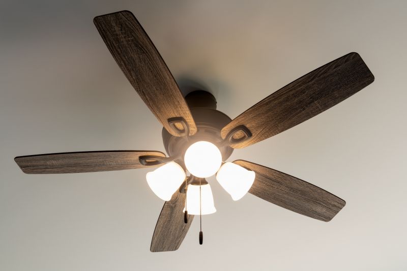 Clean Ceiling Fan