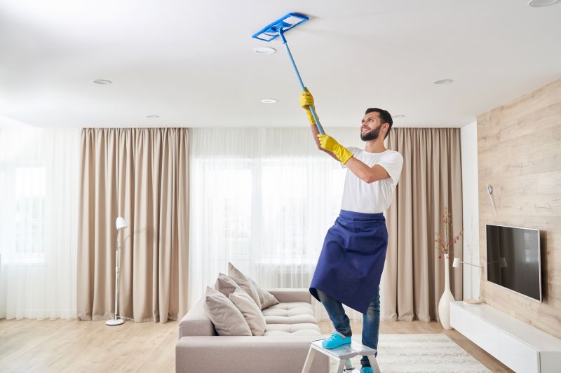 Professional Cleaning