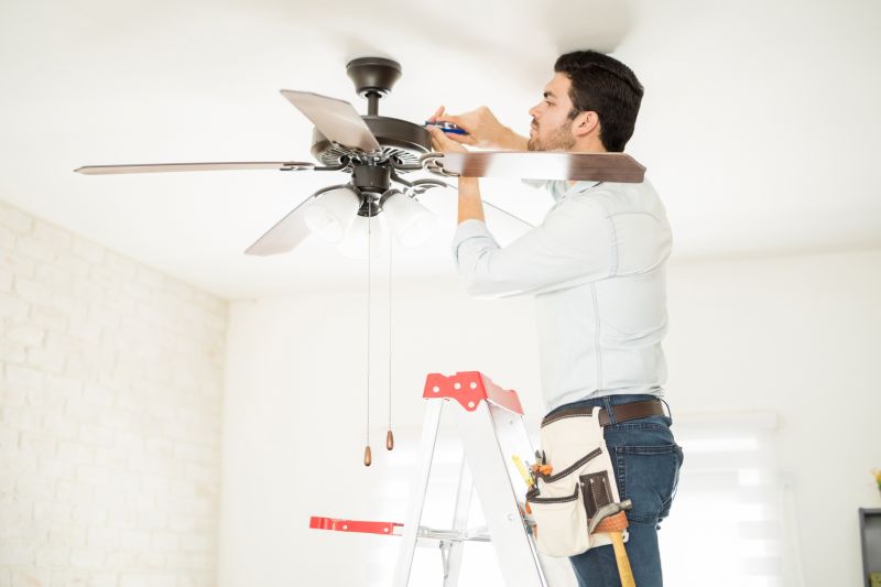Ceiling Fan Cleaning