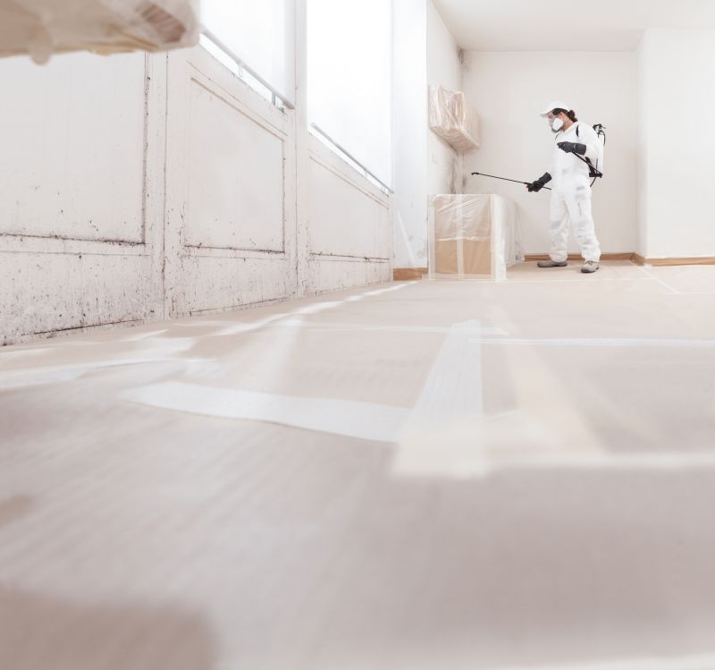 Crawl Space Mold Removal in Jupiter, FL