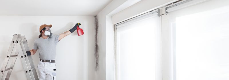 Crawl Space Mold Removal in Frisco, TX