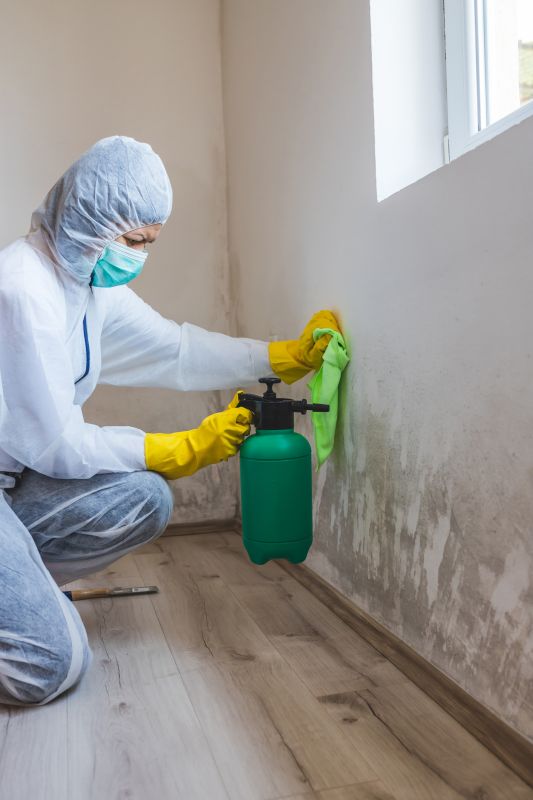 Garage Mold Remediation in Fort Lauderdale, FL