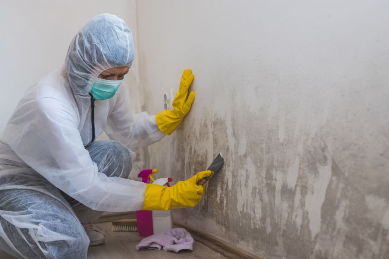 Mold Abatement Service in Jupiter, FL