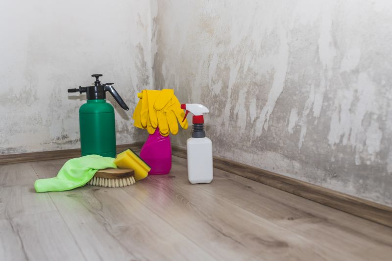 Mold Abatement Service in Boca Raton, FL