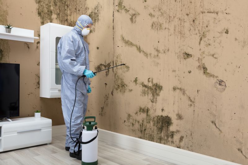 Mold Detection in Boynton Beach, FL