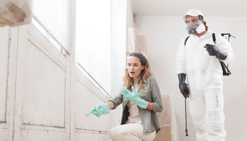 Mold Remediation Service in Broward County, FL