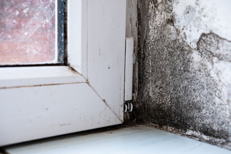Mold Removal in Fort Worth, TX