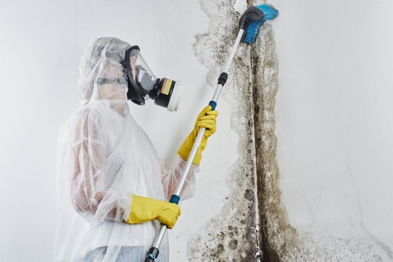 Mold Treatment Service in Boca Raton, FL