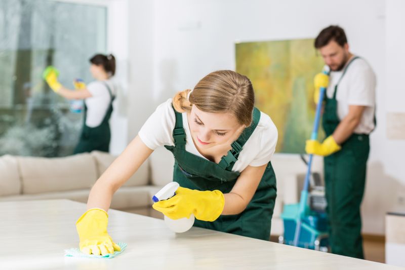 Reo Property Cleaning in Kent, WA