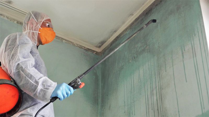 Attic Mold Removal in Fort Lauderdale, FL