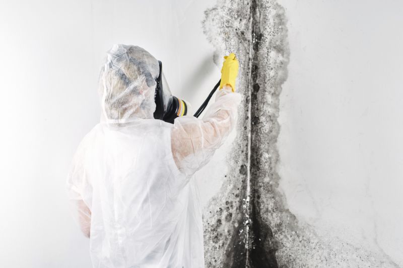 Crawlspace Mold Remediation in Jupiter, FL
