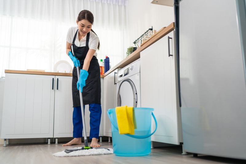 Kitchen Cleaning Service in Bellevue, WA