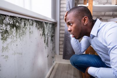 Mold Abatement in Arlington, TX