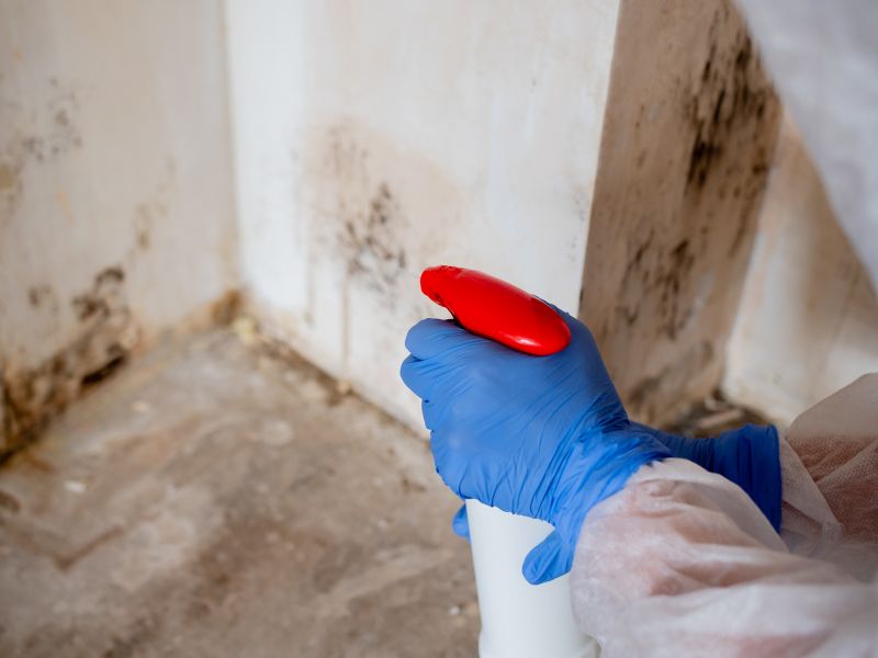 White Mold Mitigation in Fort Lauderdale, FL